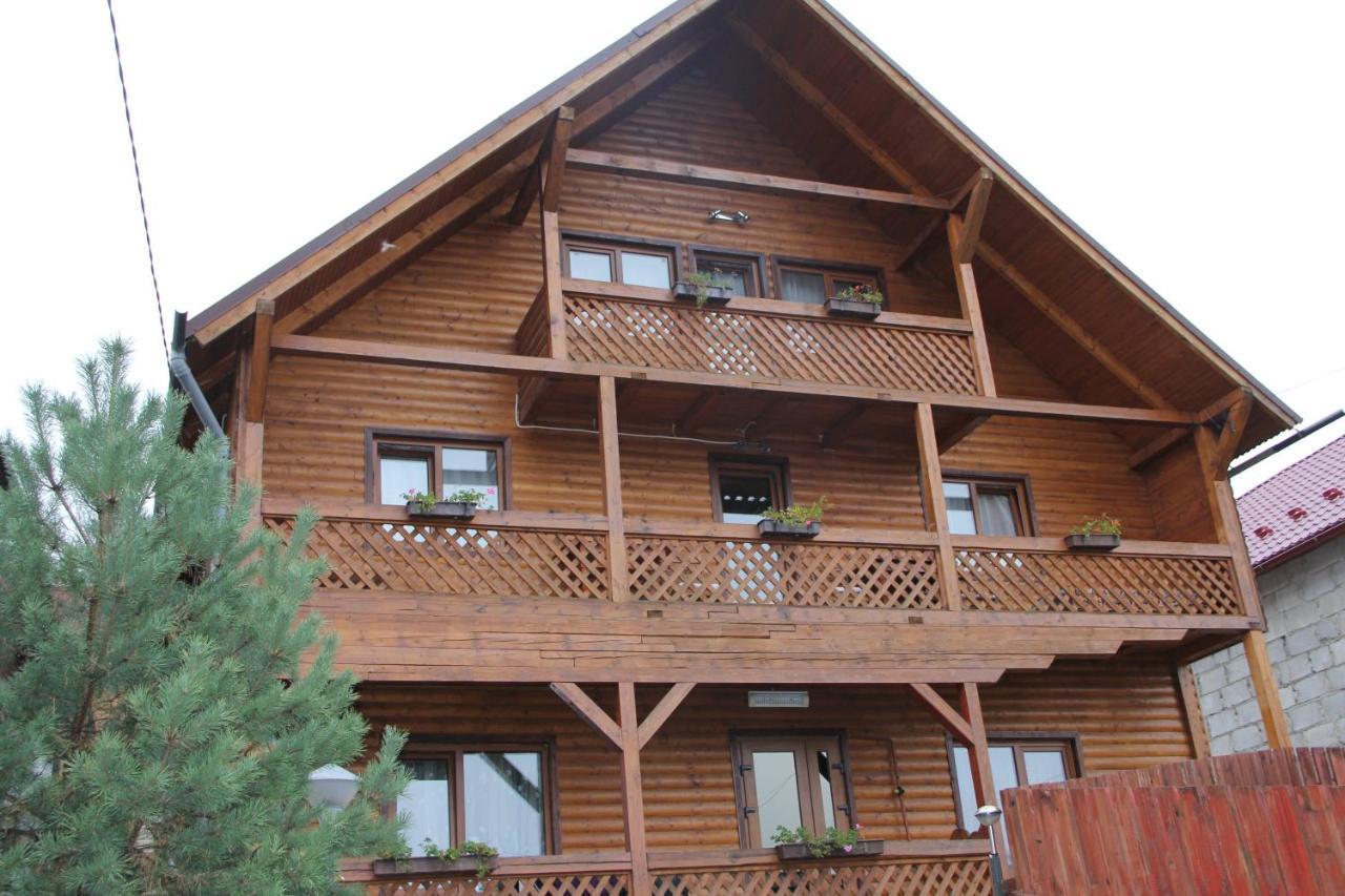 Kray Dorogy Villa Яремче Екстериор снимка
