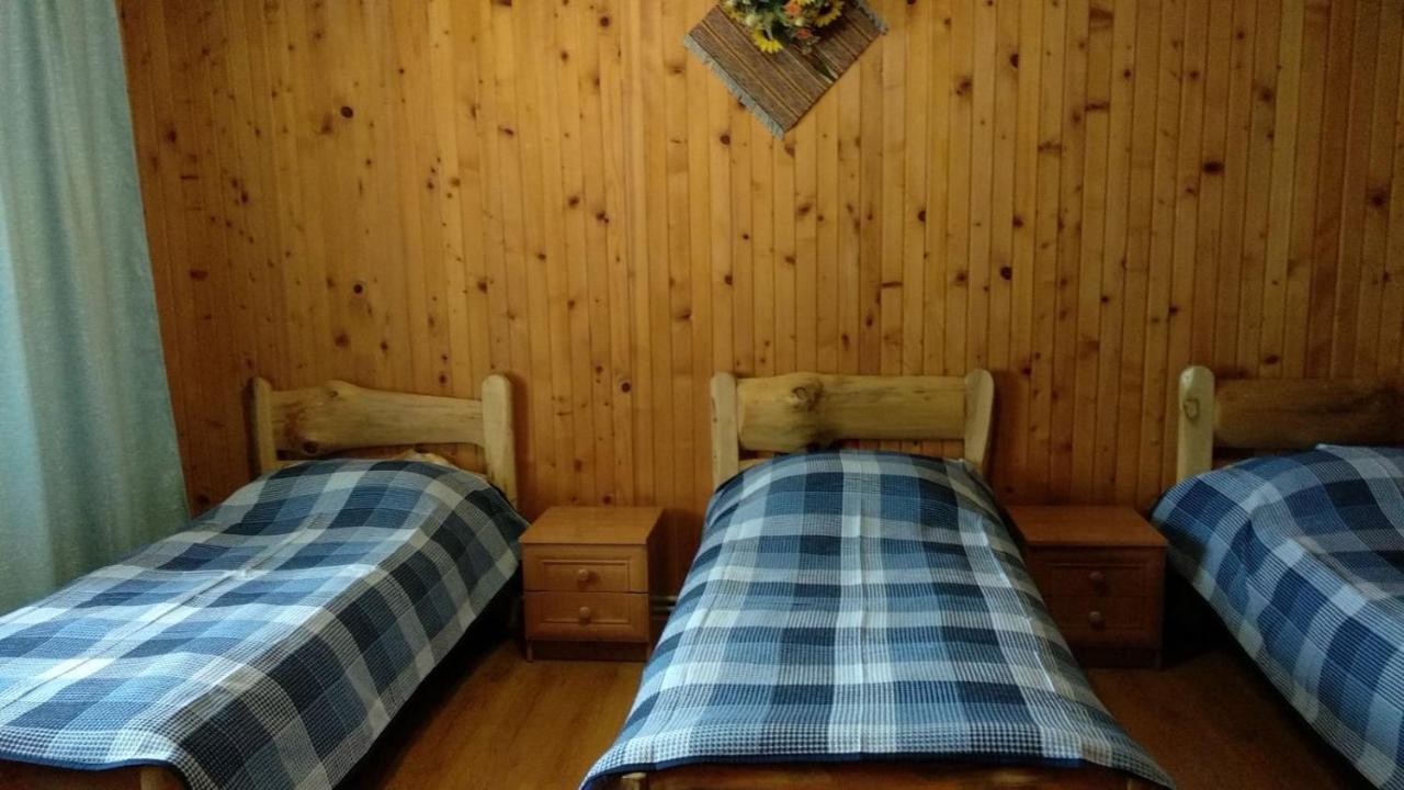 Kray Dorogy Villa Яремче Екстериор снимка